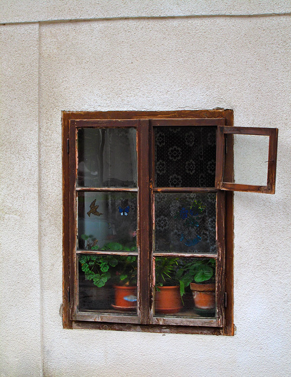 The Window Frame