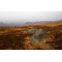 Rannoch Moor Mist