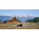 Bison and Barn