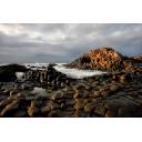 Giant's Causeway