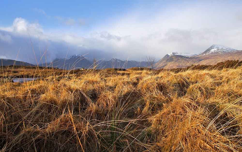 River of Grass