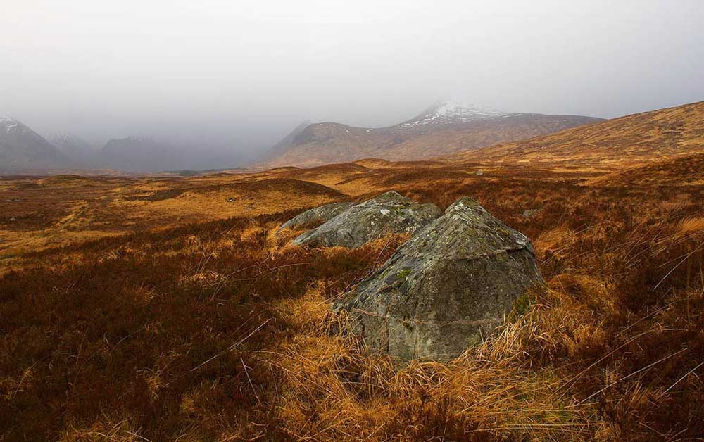 Rannoch Moor Mist