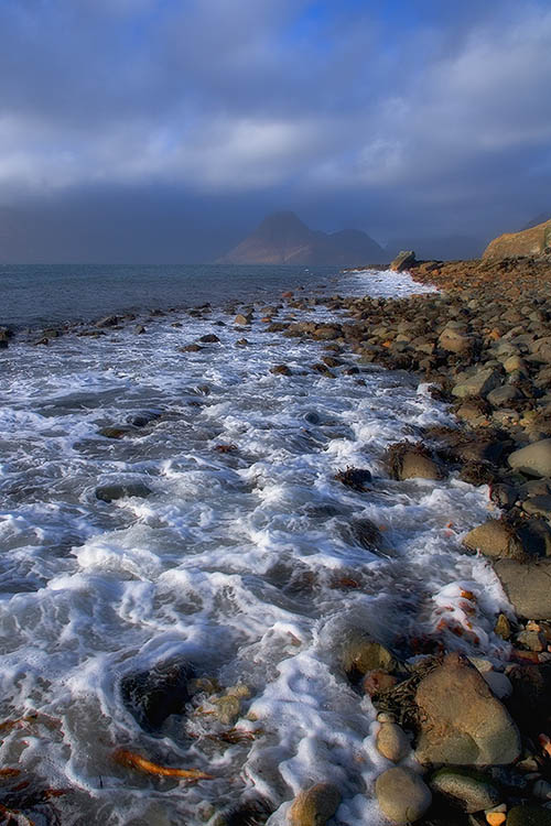 Along the Misty Shore