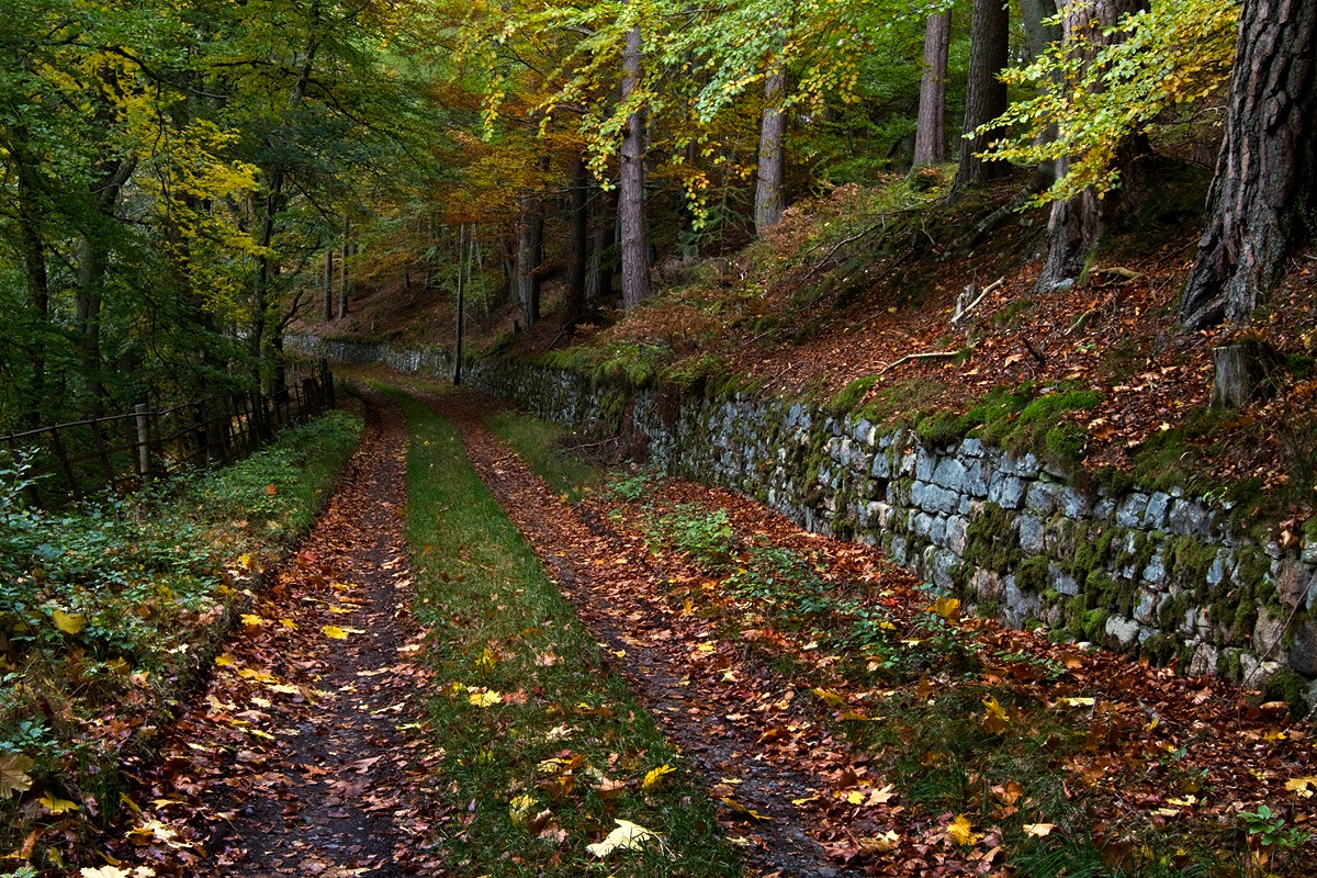 Hidden Trek Near Aviemore