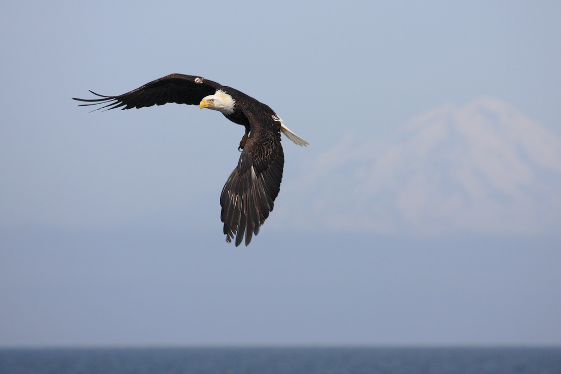 Iliamna Flyby