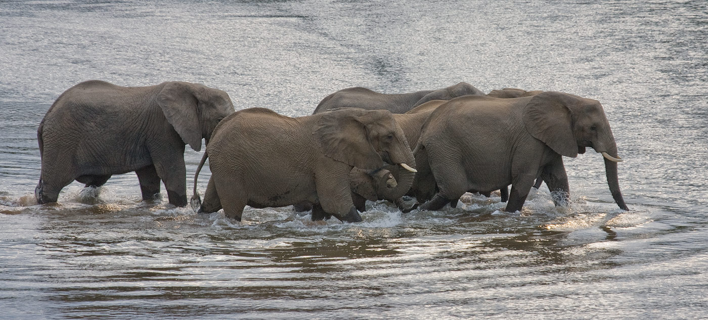 River Crossing