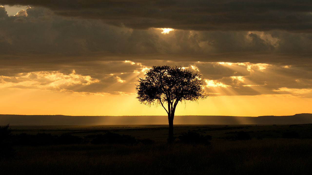 God's Light on the Maasai Mara