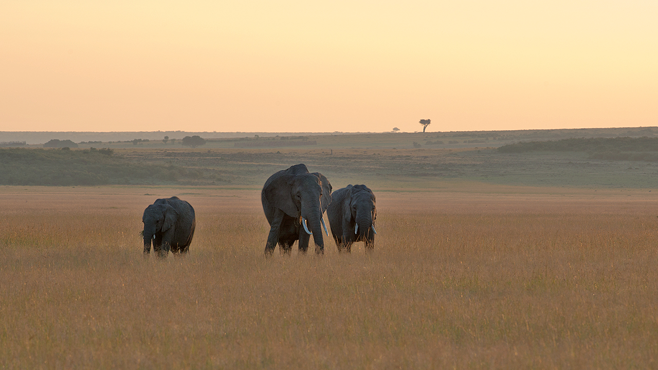 First Light on The Mara