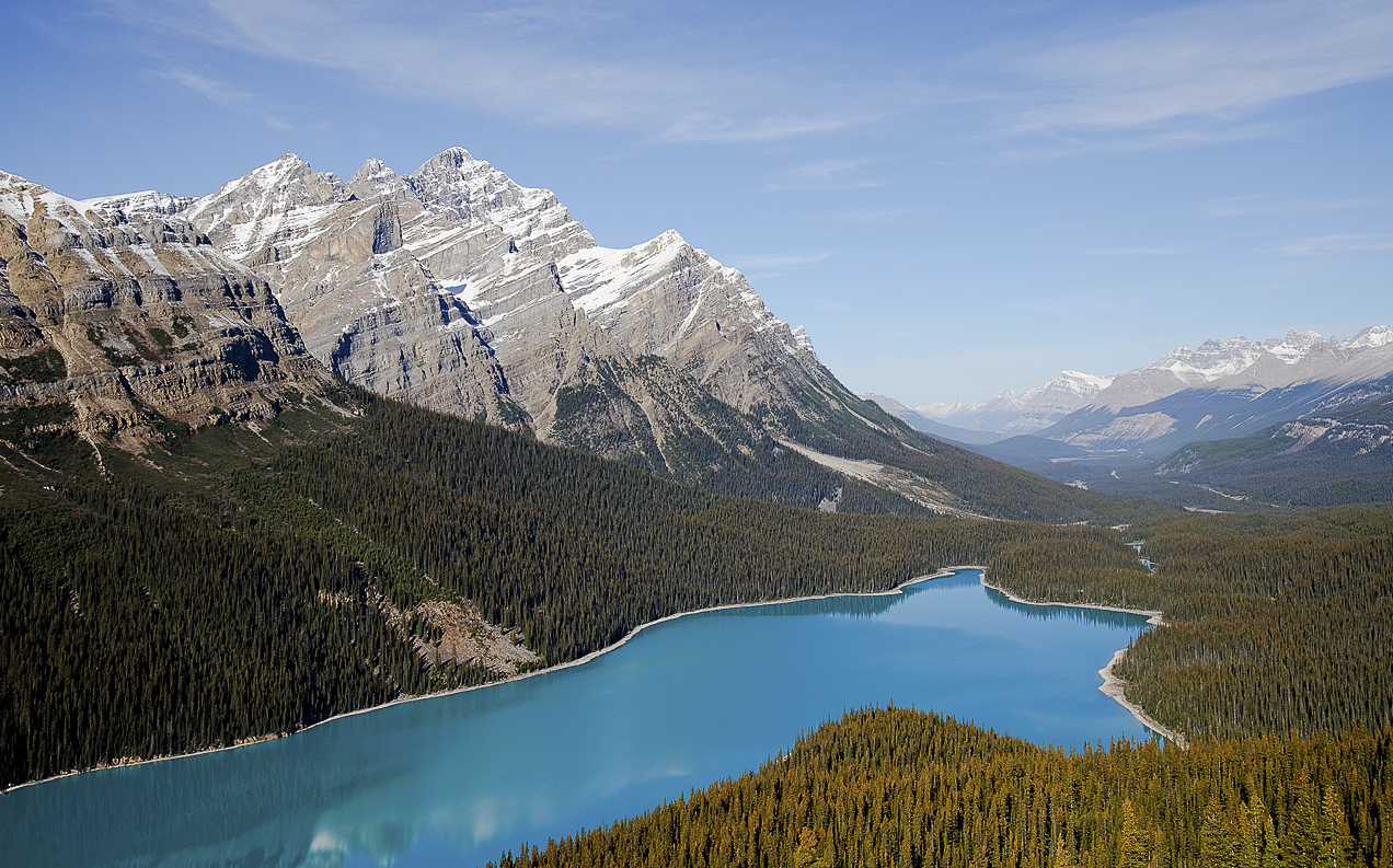 Lake Peyto