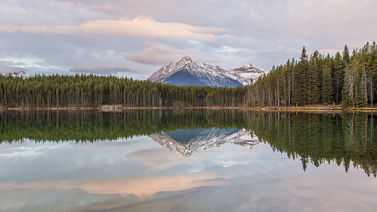 Beside the Still Waters