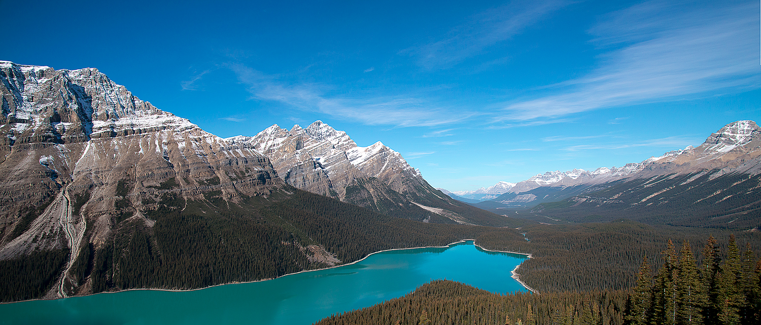 Lake Peyto Vista | Bill Lockhart Photography